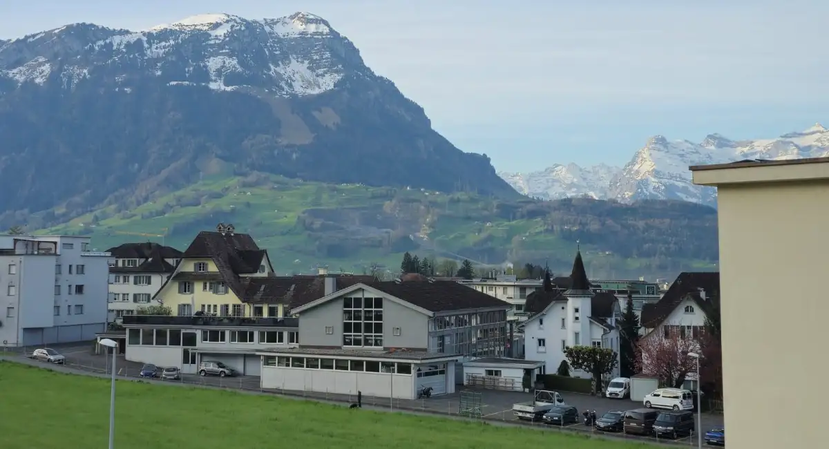 Wohnungsauflösung Seewen (SZ)